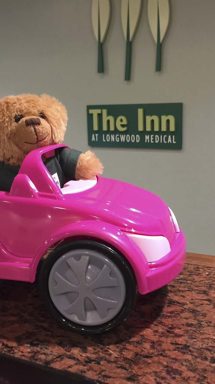 Hope the bear in small plastic car