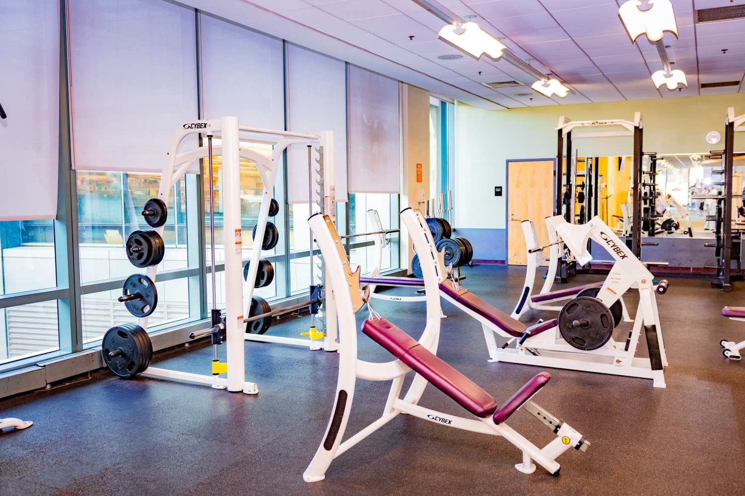 A well-equipped gym with various exercise machines and weights.