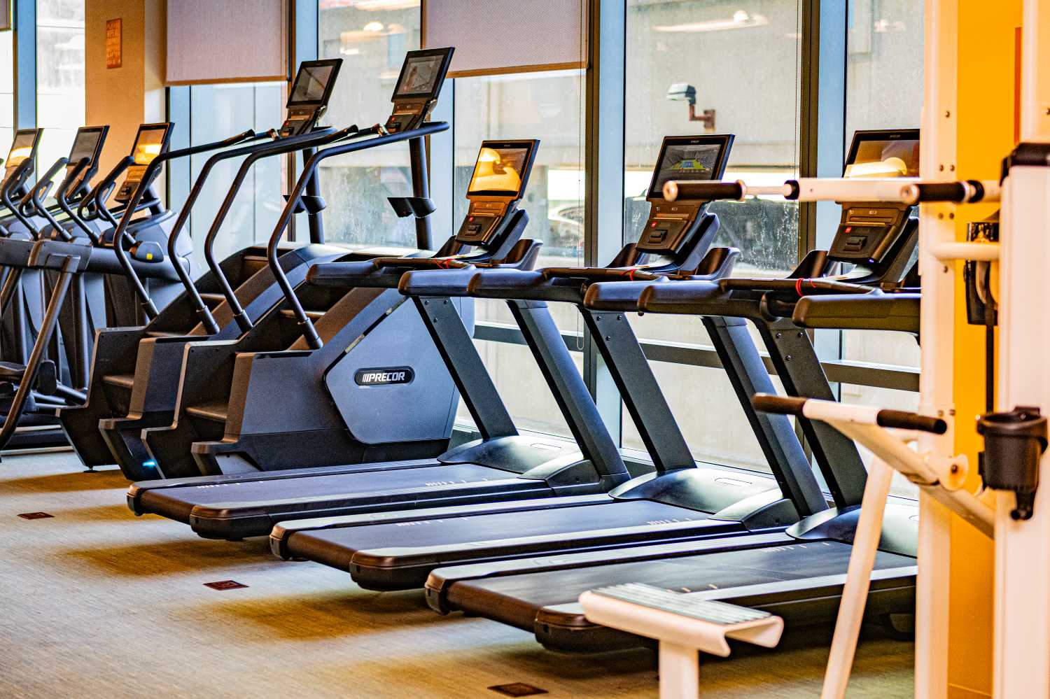 a row of treadmills in a gym with windows in the background
